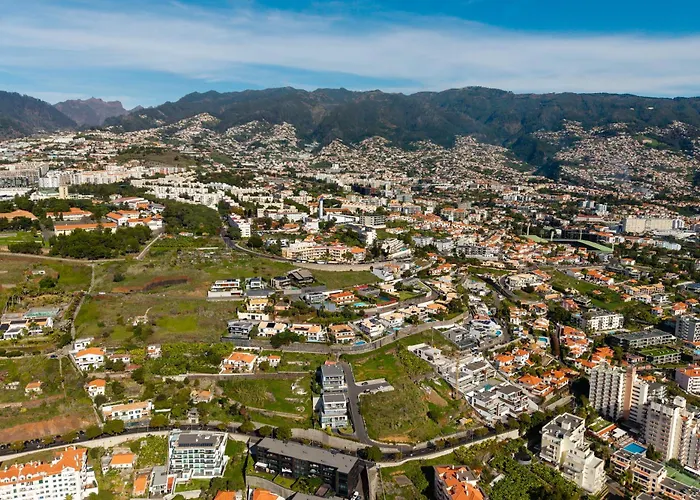 Favila By Madeira Dream