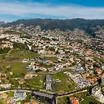 Favila By Madeira Dream